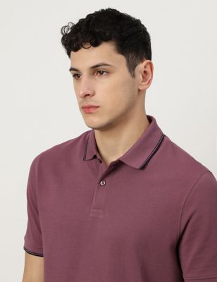 Cotton Striped Spread Collar Polo T-Shirt