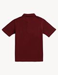 Pure Cotton Solid Polo T-Shirt