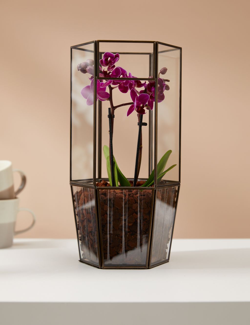 Orchid Glass Terrarium 3 of 4