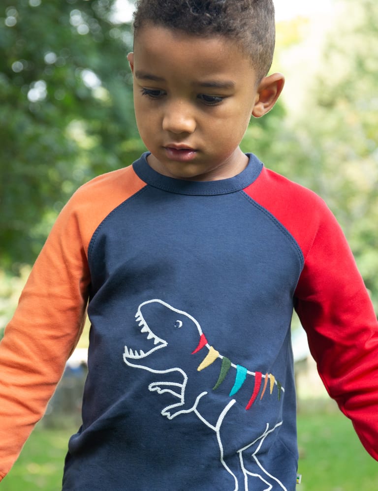 Organic Cotton Dinosaur T-Shirt (1.5-8 Yrs) 2 of 5