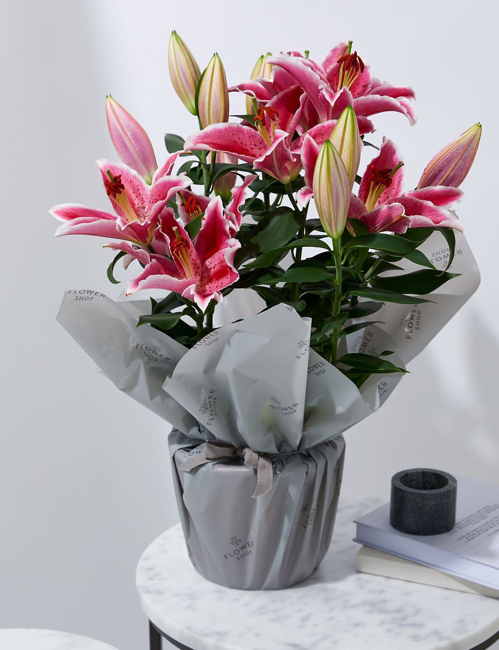 Oriental Lily 3 of 4