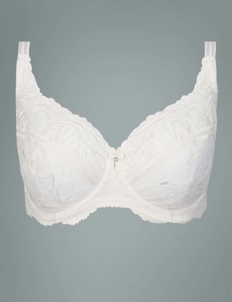 Ornamental Embroidery Non-Padded Underwired Balcony Bra DD-G 2 of 4