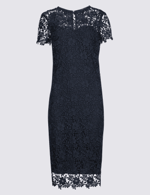 Petite shop lace dress