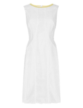 PETITE Pure Cotton Broderie Skater Dress Image 2 of 4