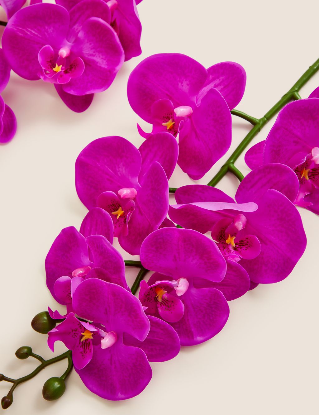 Set of 2 Artificial Orchid Single Stems image 2