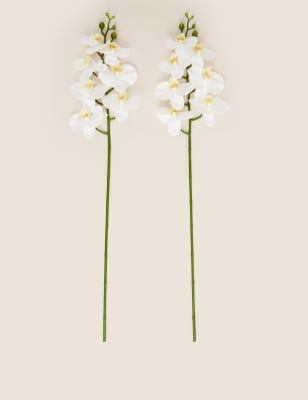 

Moss & Sweetpea Set of 2 Artificial Orchid Single Stems - White, White