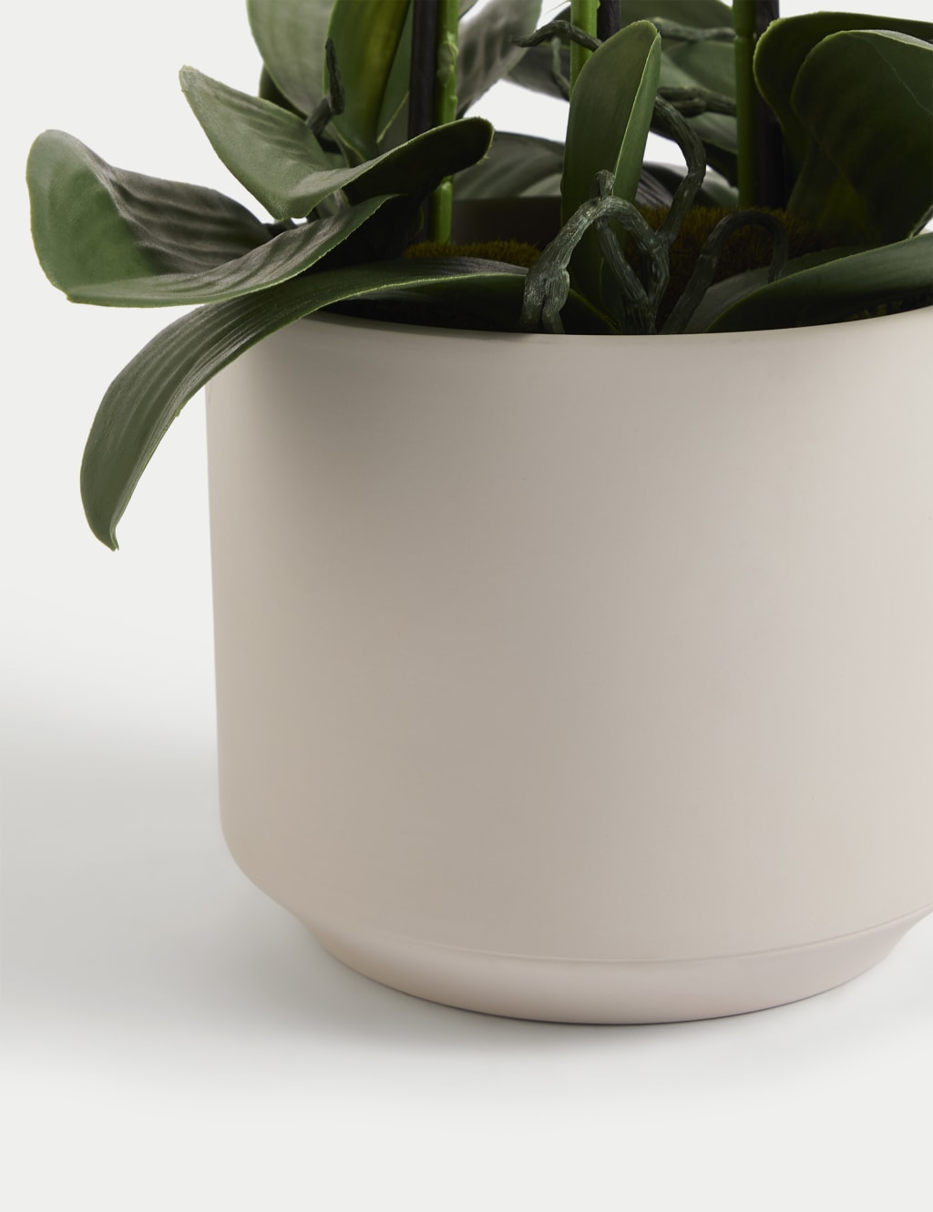 Artificial House Plants M&S