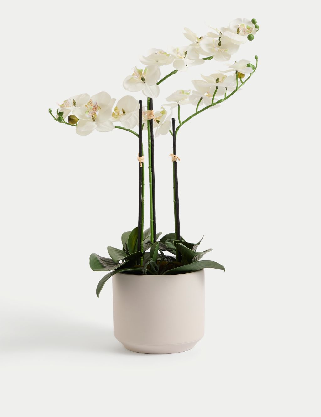 Artificial Large Orchid Plant