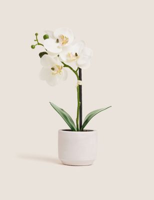 Moss & Sweetpea Artificial Real Touch Small Orchid in Pot - White, White
