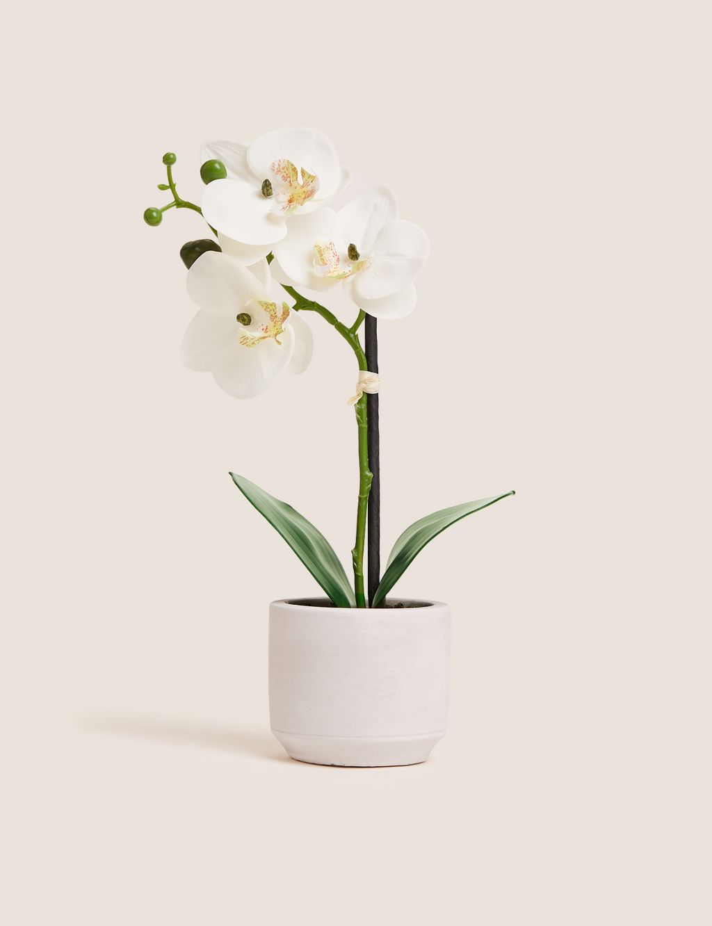 Artificial Real Touch Small Orchid in Ceramic Pot