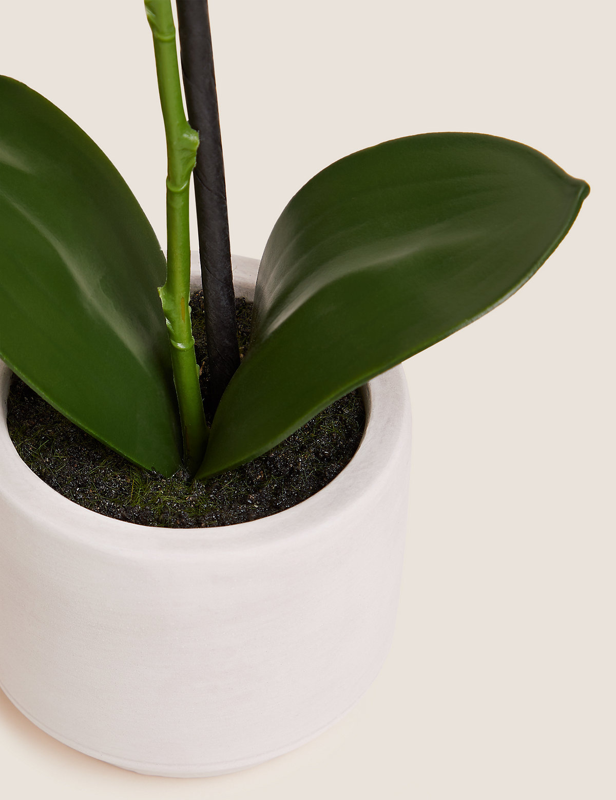 Artificial Real Touch Small Orchid in Pot