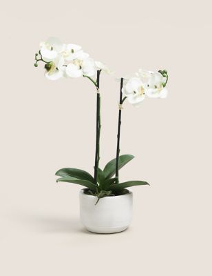 Artificial Real Touch Medium Orchid in Ceramic Pot