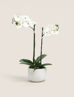 

Artificial Medium Orchid Plant - White, White