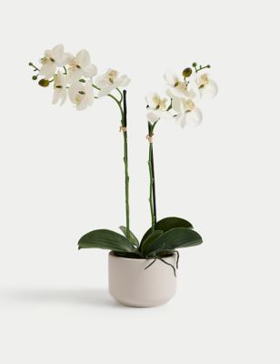 Artificial Real Touch Medium Orchid in Ceramic Pot