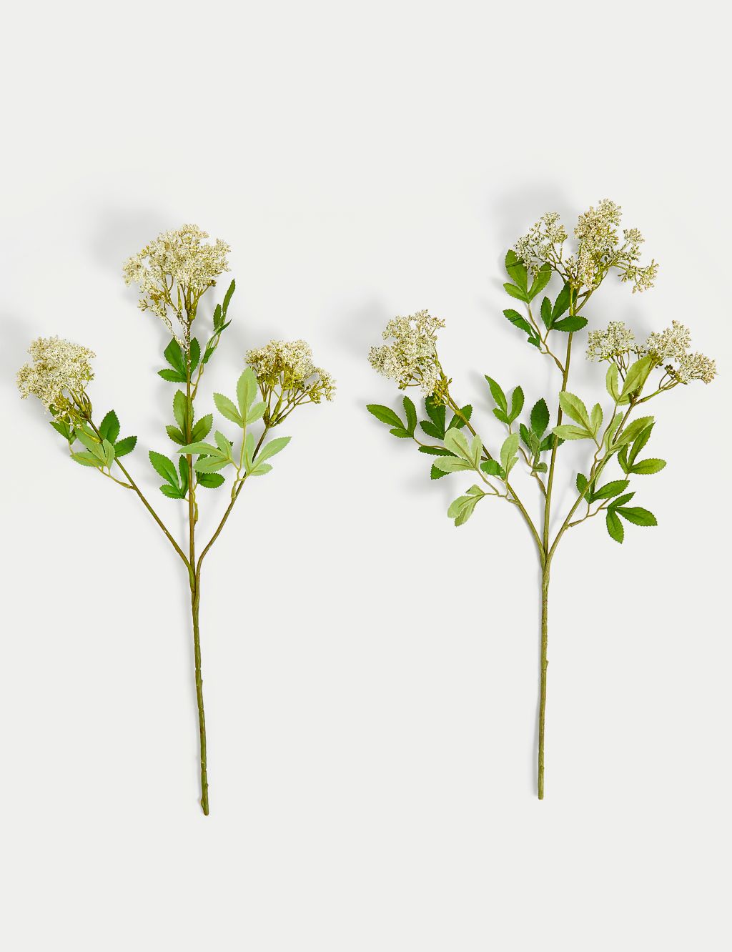 Set of 2 Artificial Cow Parsley Single Stems image 2