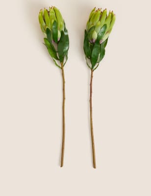 

Set of 2 Artificial Protea Single Stems - Yellow, Yellow