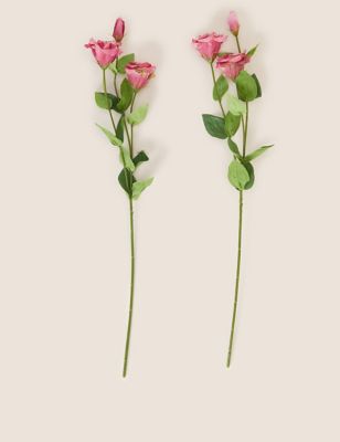 

Moss & Sweetpea Set of 2 Artificial Real Touch Lisianthus Stems - Peach, Peach