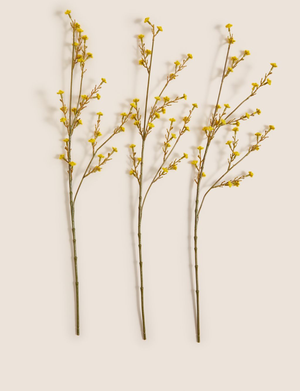 Set of 3 Stirlingia Latifolia Single Stems