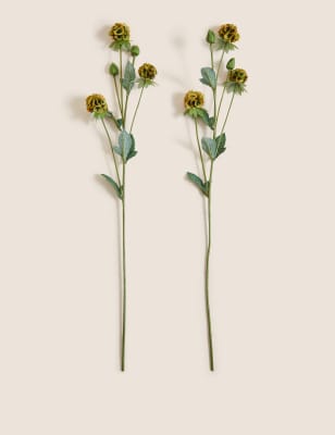 

Moss & Sweetpea Set of 2 Artificial Pin Cushion Single Stems - White, White