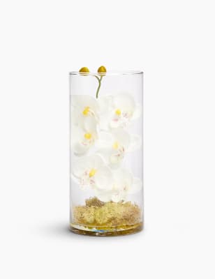 Orchid&eacute;e dispos&eacute;e dans un vase cylindrique