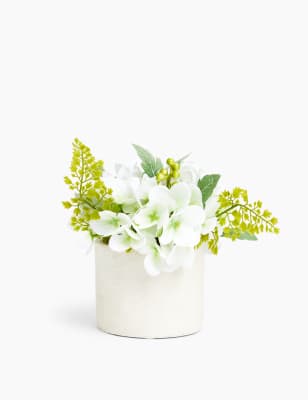 Hortensia blanches dispos&eacute;e dans un pot en b&eacute;ton