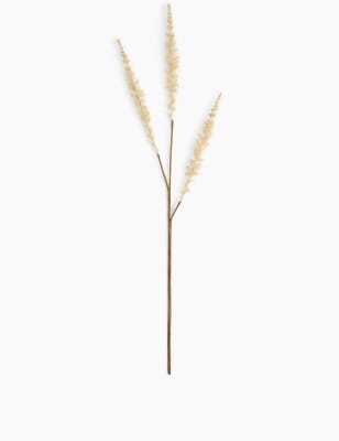 Herbe s&eacute;ch&eacute;e, pied unique