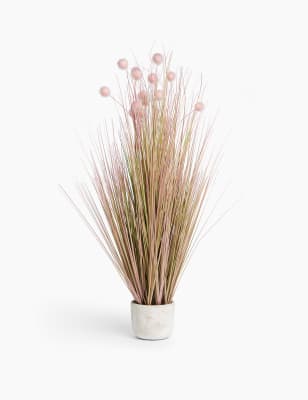 Pompons et herbes hautes dispos&eacute;s dans un pot en b&eacute;ton