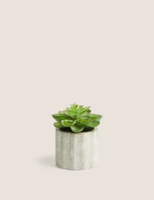 

Artificial Mini Echeveria in Concrete Pot - Green, Green