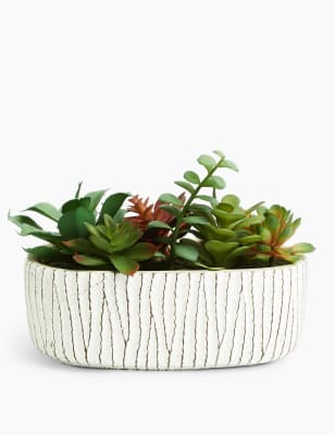 Succulente artificielle en pot ovale