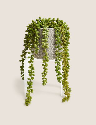 Moss & Sweetpea Artificial String of Pearls in Ceramic Pot - Green, Green