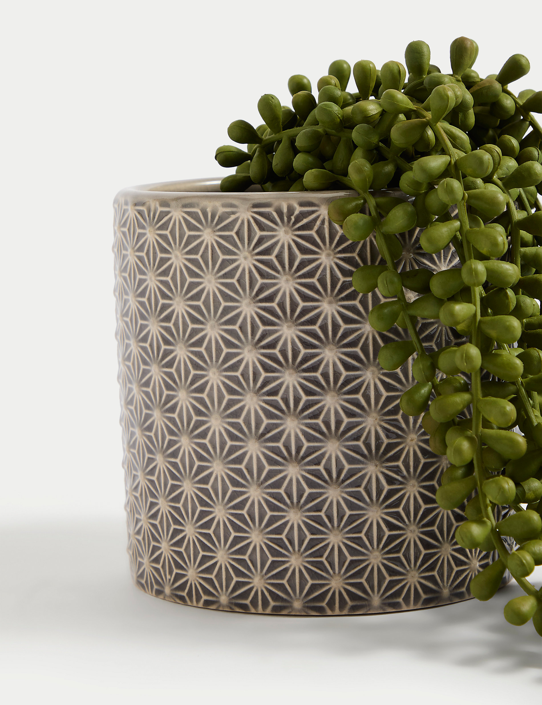 Artificial String of Pearls in Ceramic Pot