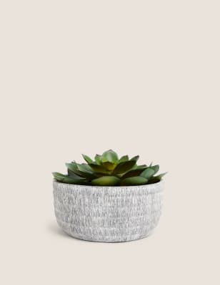 Artificial Echeveria in Concrete Pot