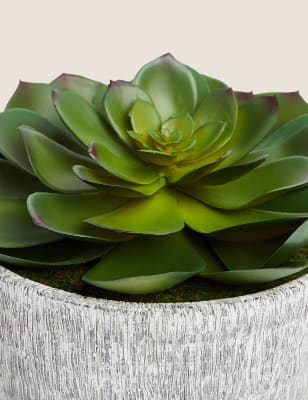 

Künstliche Echeveria im Betontopf - Grün, Grün