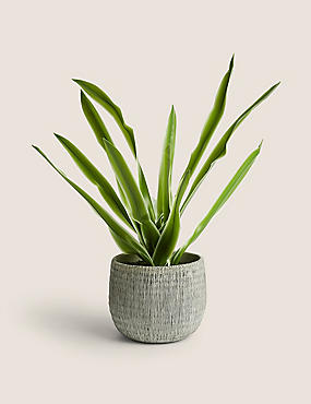 Artificial Natural Lily in Textured Pot