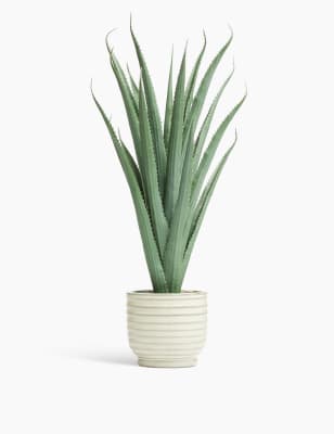 Pot &eacute;maill&eacute; avec grande Aloe Vera
