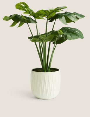

Artificial Cheese Plant in Glazed Pot - Green, Green