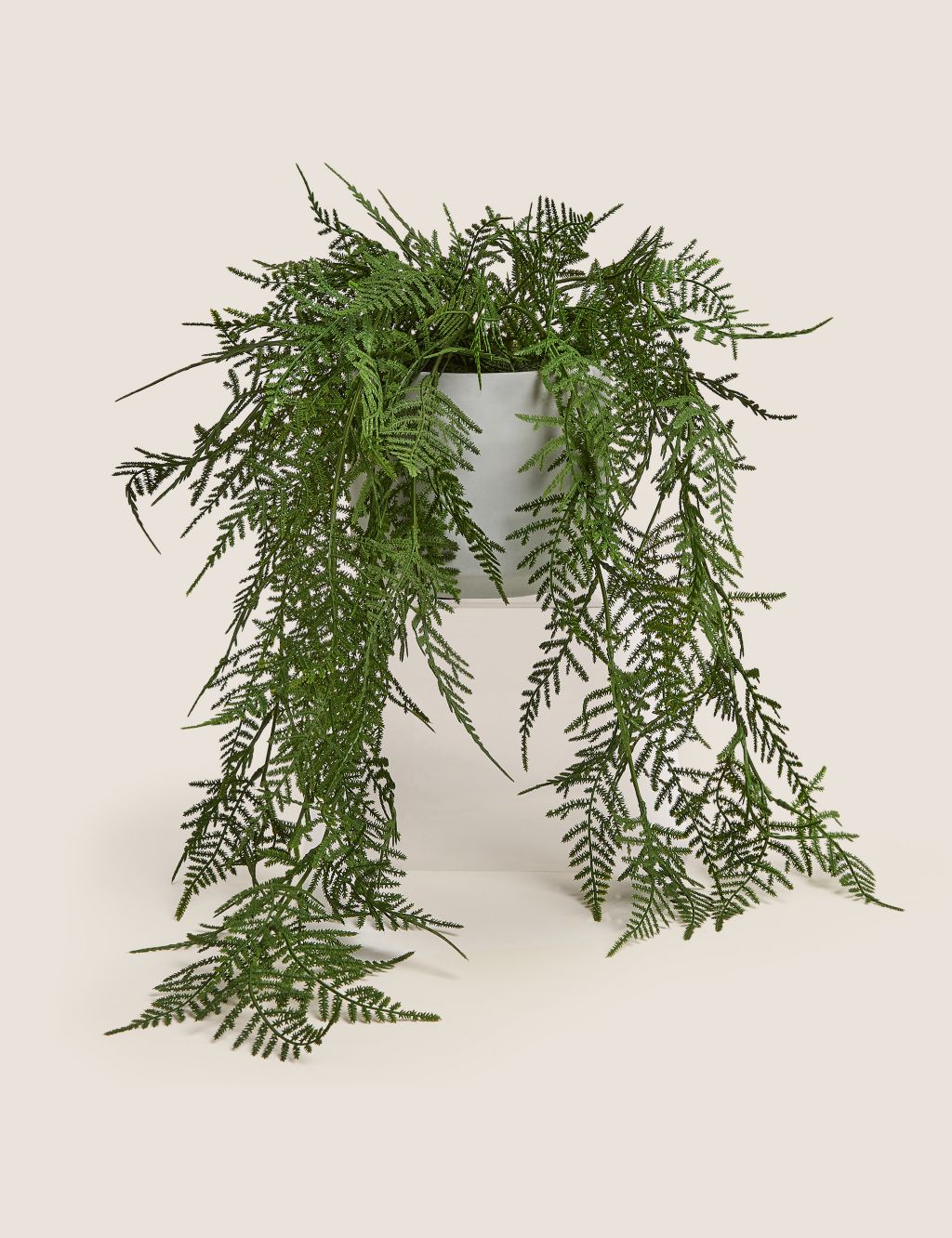Artificial Trailing Asparagus Fern In Pot image 1