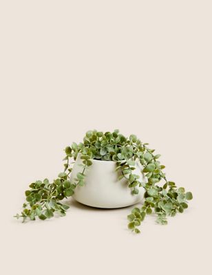 Moss & Sweetpea Artificial Trailing String of Hearts Plant - Green, Green