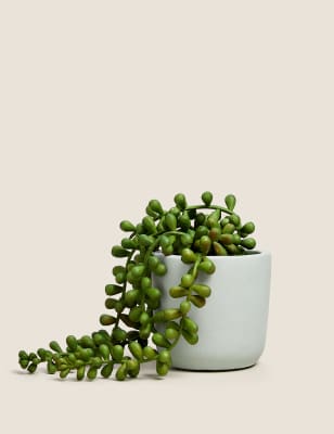 

Artificial Mini String of Pearls in Pot - Green, Green