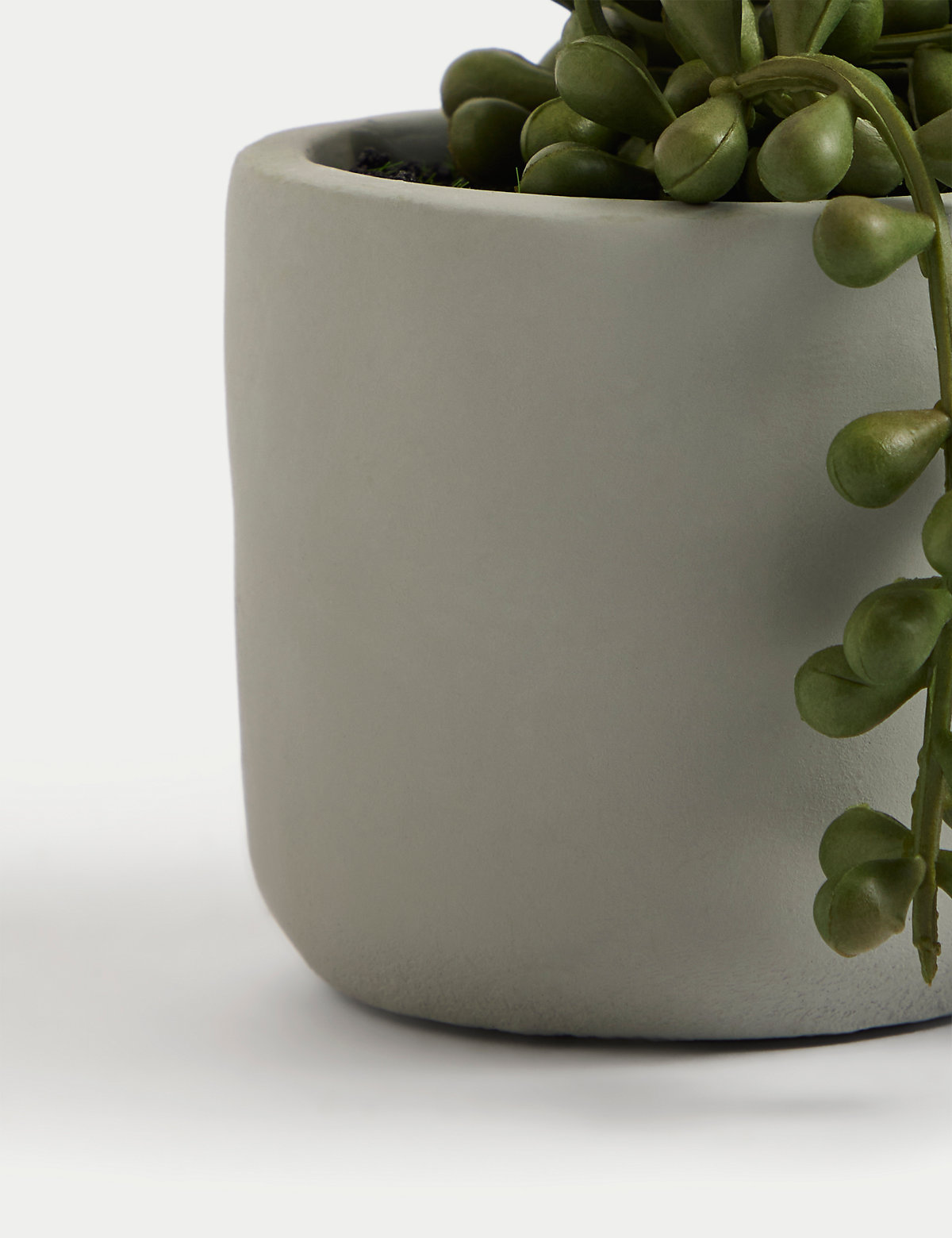 Artificial Mini String of Pearls in Pot