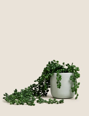 Artificial Mini Trailing Plant in Pot