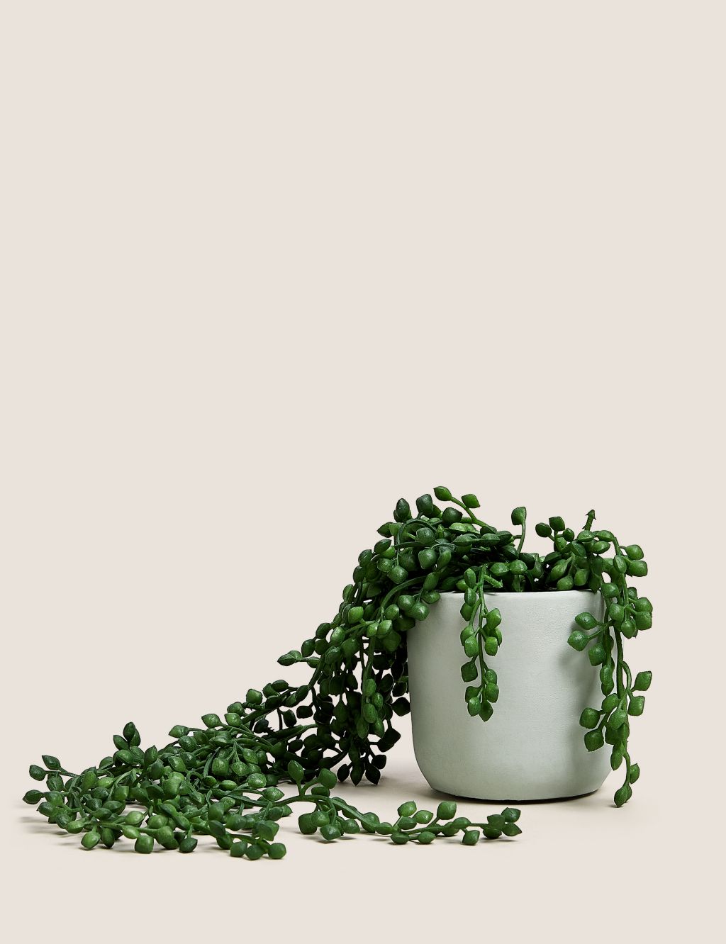 Artificial Mini Trailing Plant in Pot image 1