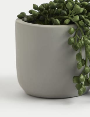 Artificial Mini Trailing Plant in Pot