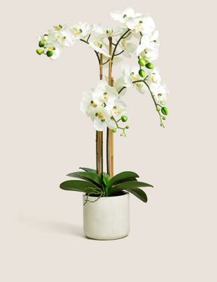 Moss & Sweetpea Artificial Real Touch Extra Large Orchid in Pot - White Mix, White Mix