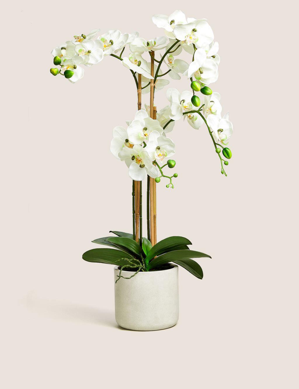 Artificial Real Touch Extra Large Orchid in Pot image 1