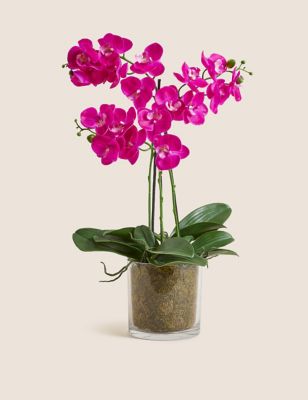 Moss & Sweetpea Artificial Real Touch Large Orchid in Glass Pot - Pink, Pink
