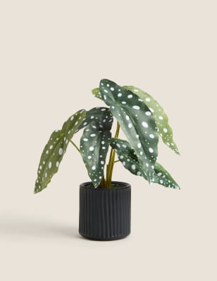 

Artificial Begonia Plant - Green, Green