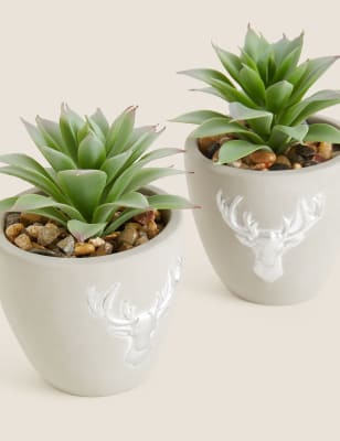 

Set of 2 Artificial Large Succulents - Green, Green
