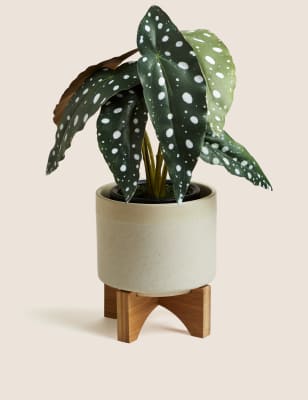 Small Ceramic Planter - Natural, Natural