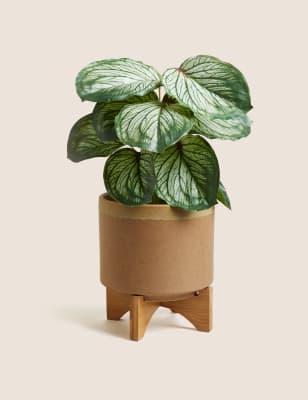 Medium Ceramic Planter - Natural, Natural